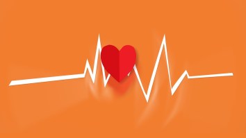 heart-2211180_960_720